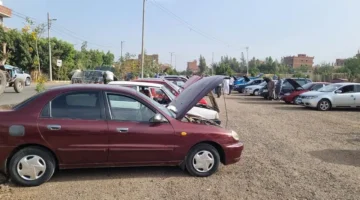 وزارة المالية تطرح أكبر مزاد علني في القاهرة لبيع سيارات حكومية من هيونداي إلى BMW